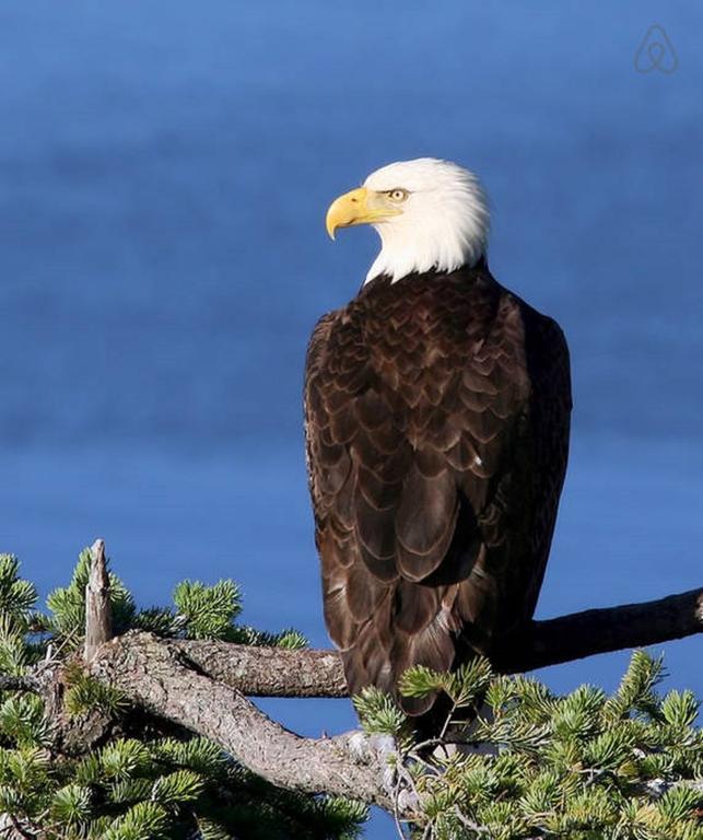 Qualicum Breeze Beach Resort Bowser 部屋 写真